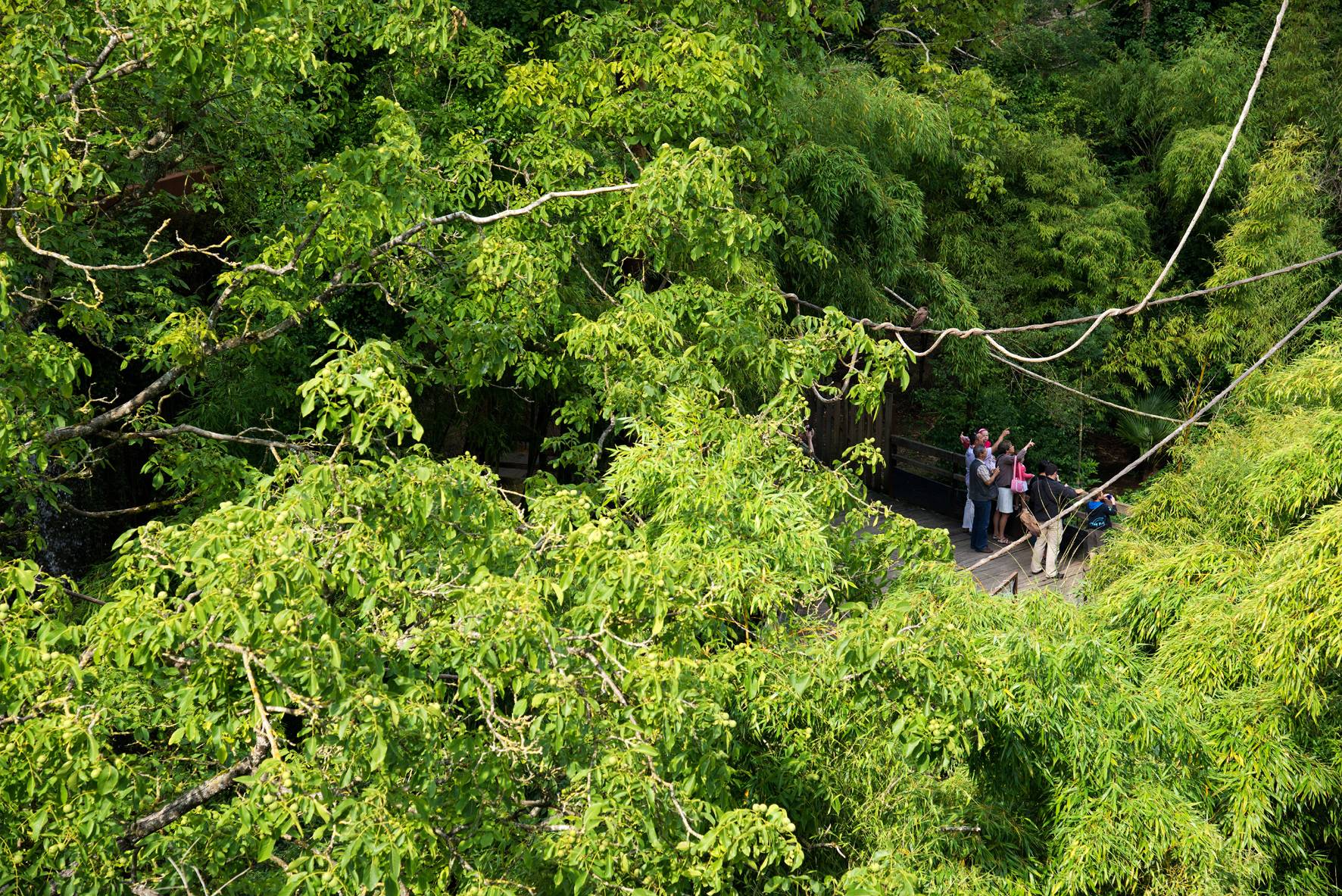 Stages Emplois Bioparc Zoo De Doue La Fontaine