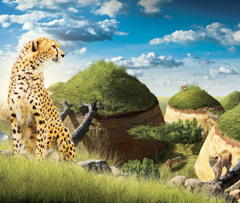 image - Le Cratère des carnivores